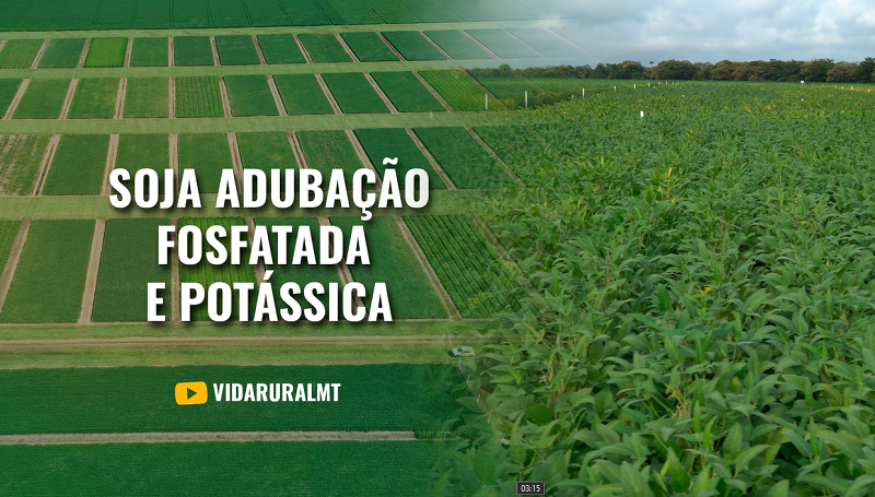 SEMEADURA DIRETA COM ANTECIPAÇÃO DA ADUBAÇÃO POTÁSSICA